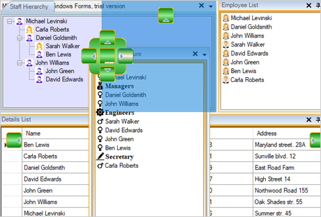 WinForms UI Dock Control: Appearance