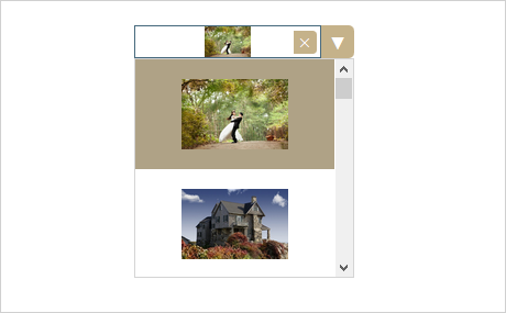 Events and User Interaction in the JS ImagePicker Library