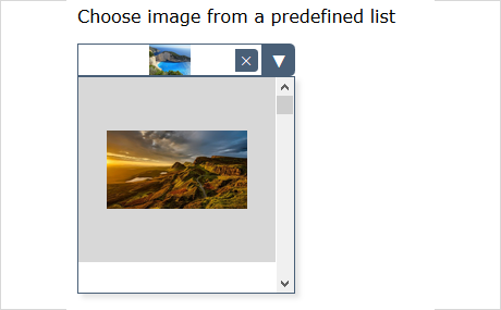 JavaScript ImagePicker Control: Demo