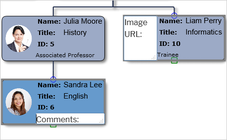 Wordpress Organization Chart